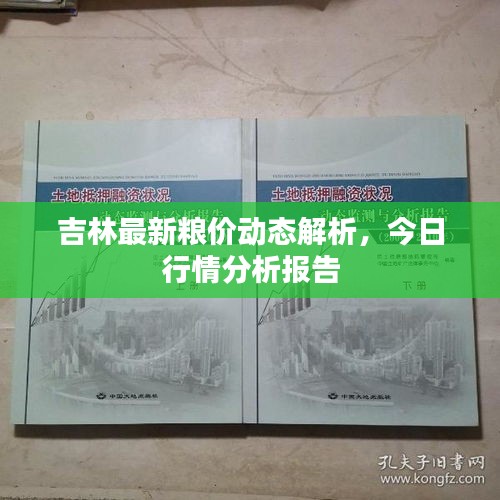 吉林最新粮价动态解析，今日行情分析报告