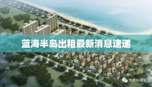 蓝海半岛出租最新消息速递