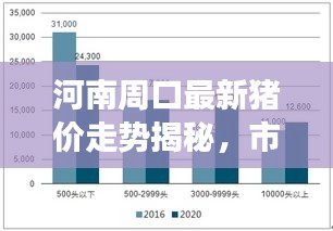 河南周口最新猪价走势揭秘，市场趋势与影响因素深度剖析