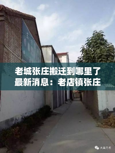 老城张庄搬迁到哪里了最新消息：老店镇张庄村 