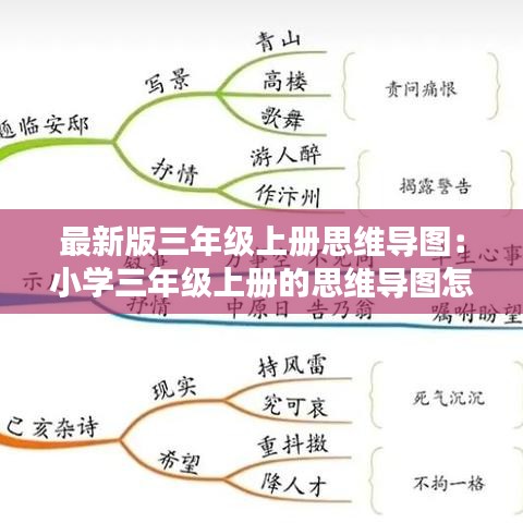 最新版三年级上册思维导图：小学三年级上册的思维导图怎么做 