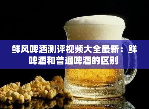 鲜风啤酒测评视频大全最新：鲜啤酒和普通啤酒的区别 