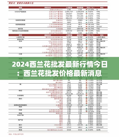 2024西兰花批发最新行情今日：西兰花批发价格最新消息 