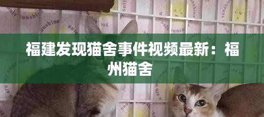 福建发现猫舍事件视频最新：福州猫舍 