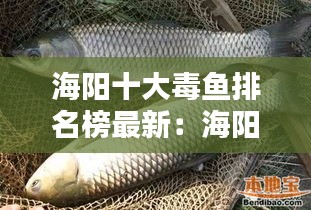 海阳十大毒鱼排名榜最新：海阳市钓鱼的地方 