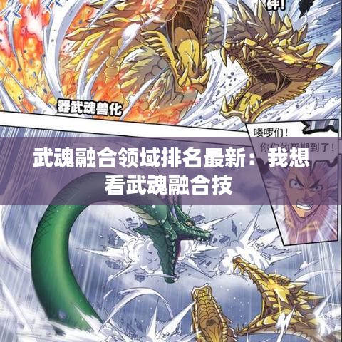 武魂融合领域排名最新：我想看武魂融合技 