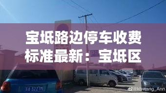 宝坻路边停车收费标准最新：宝坻区马路边边 