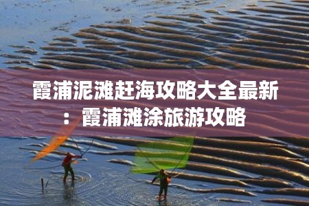 霞浦泥滩赶海攻略大全最新：霞浦滩涂旅游攻略 