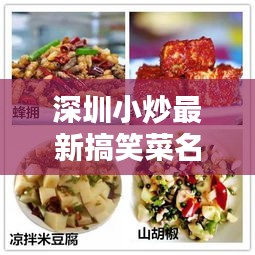 深圳小炒最新搞笑菜名叫什么：深圳最受欢迎的小吃 