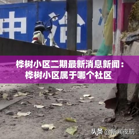 桦树小区二期最新消息新闻：桦树小区属于哪个社区 