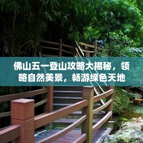 佛山五一登山攻略大揭秘，领略自然美景，畅游绿色天地