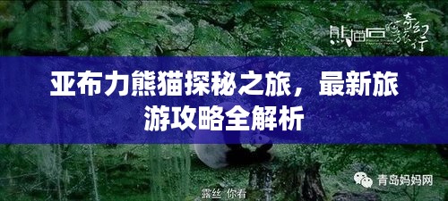 亚布力熊猫探秘之旅，最新旅游攻略全解析