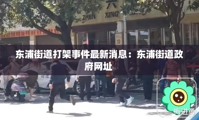 东浦街道打架事件最新消息：东浦街道政府网址 