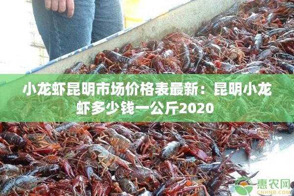 小龙虾昆明市场价格表最新：昆明小龙虾多少钱一公斤2020 