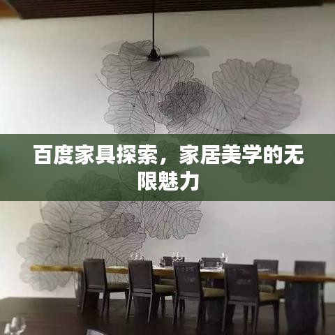 百度家具探索，家居美学的无限魅力