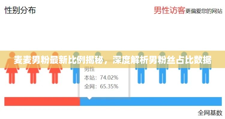 麦麦男粉最新比例揭秘，深度解析男粉丝占比数据