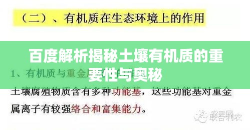 百度解析揭秘土壤有机质的重要性与奥秘