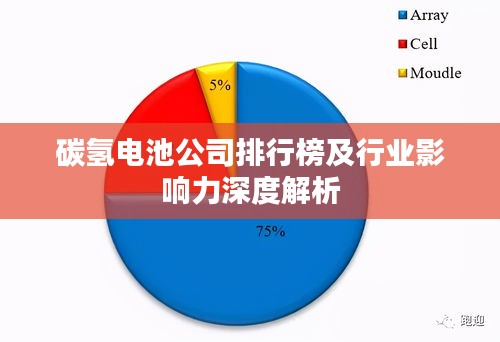 碳氢电池公司排行榜及行业影响力深度解析