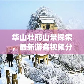 华山壮丽山景探索，最新游客视频分享非凡之旅体验