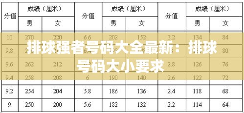 排球强者号码大全最新：排球号码大小要求 