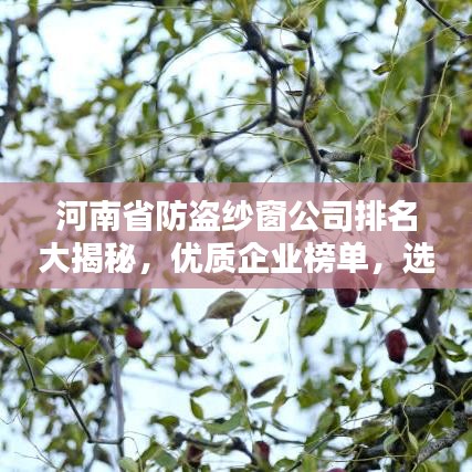 河南省防盗纱窗公司排名大揭秘，优质企业榜单，选购首选参考！