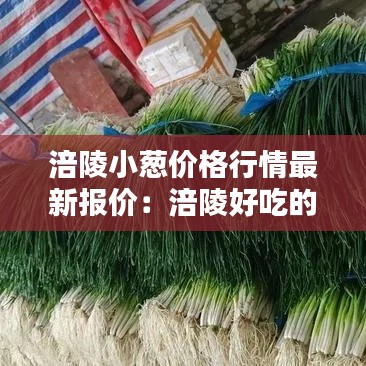 涪陵小葱价格行情最新报价：涪陵好吃的小吃在哪里 