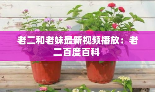 老二和老妹最新视频播放：老二百度百科 