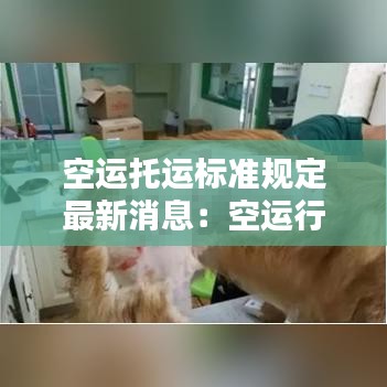 空运托运标准规定最新消息：空运行李托运 