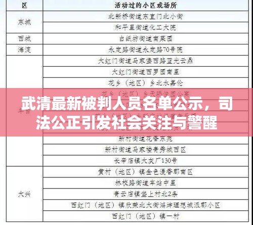 武清最新被判人员名单公示，司法公正引发社会关注与警醒