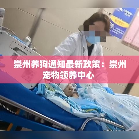 崇州养狗通知最新政策：崇州宠物领养中心 