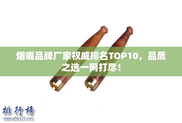 烟嘴品牌厂家权威排名TOP10，品质之选一网打尽！