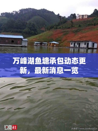 万峰湖鱼塘承包动态更新，最新消息一览