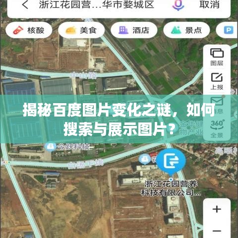 揭秘百度图片变化之谜，如何搜索与展示图片？