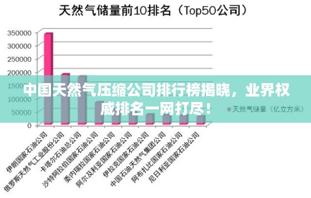 中国天然气压缩公司排行榜揭晓，业界权威排名一网打尽！