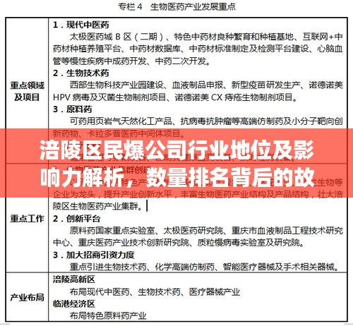 涪陵区民爆公司行业地位及影响力解析，数量排名背后的故事