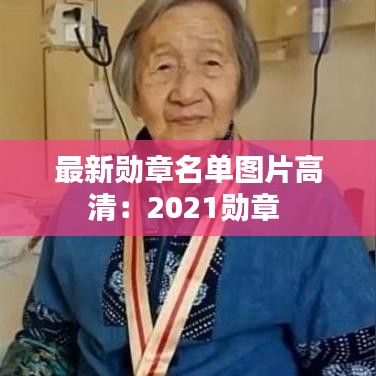 最新勋章名单图片高清：2021勋章 