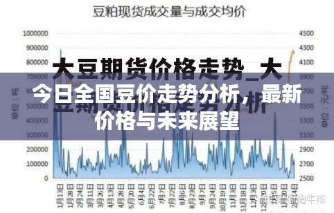 今日全国豆价走势分析，最新价格与未来展望