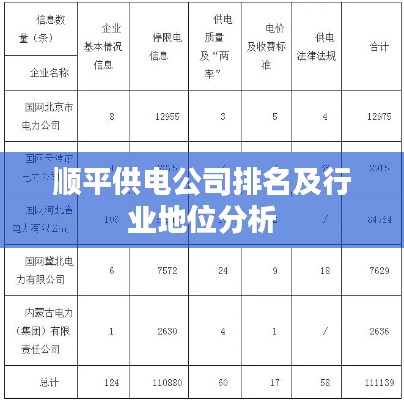 顺平供电公司排名及行业地位分析