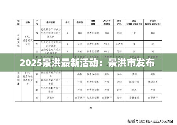 2025景洪最新活动：景洪市发布 