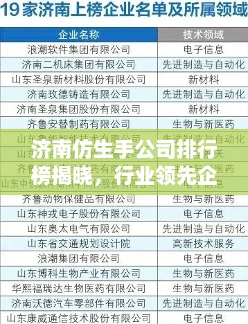 济南仿生手公司排行榜揭晓，行业领先企业榜单揭秘！