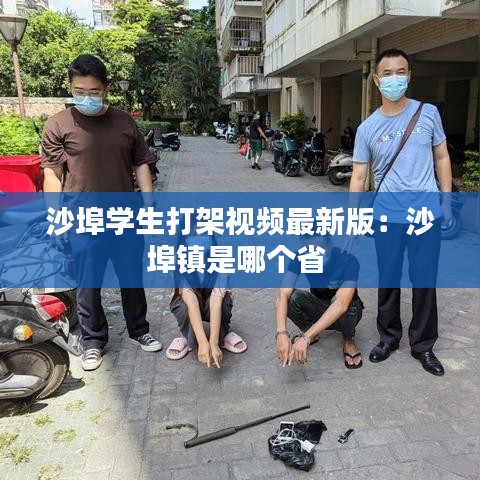 沙埠学生打架视频最新版：沙埠镇是哪个省 