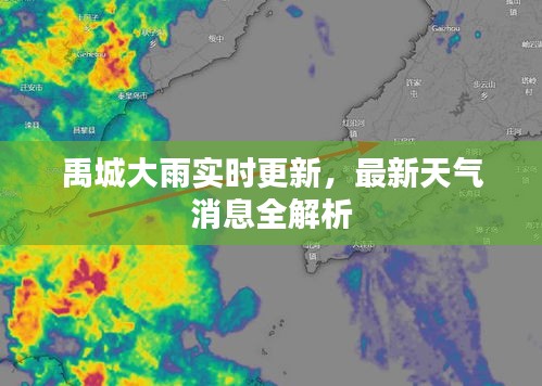 禹城大雨实时更新，最新天气消息全解析