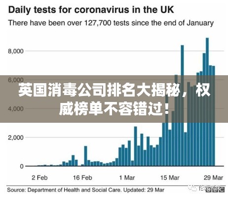 英国消毒公司排名大揭秘，权威榜单不容错过！