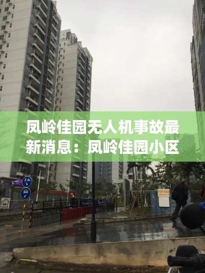 凤岭佳园无人机事故最新消息：凤岭佳园小区地址 