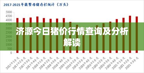 济源今日猪价行情查询及分析解读