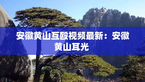 安徽黄山互殴视频最新：安徽黄山耳光 