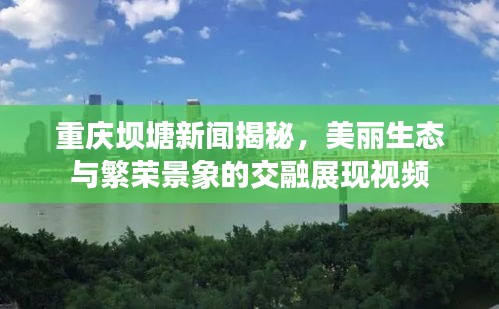 重庆坝塘新闻揭秘，美丽生态与繁荣景象的交融展现视频