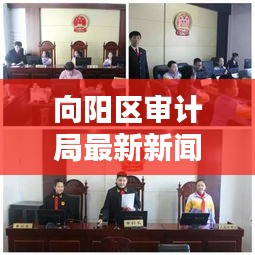 向阳区审计局最新新闻：向阳区政府在什么位置 