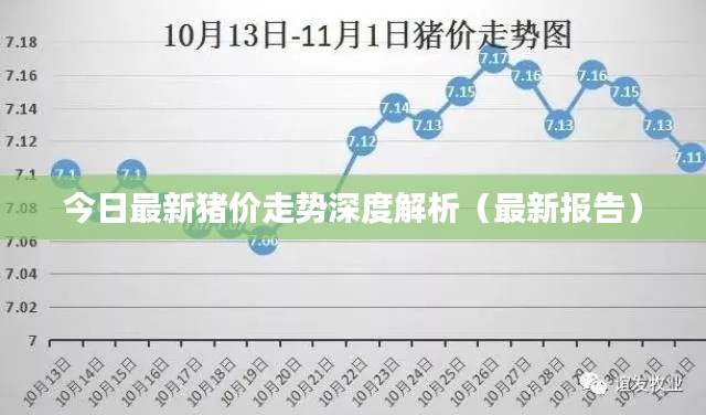 今日最新猪价走势深度解析（最新报告）