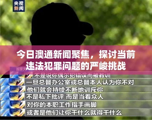 今日澳通新闻聚焦，探讨当前违法犯罪问题的严峻挑战